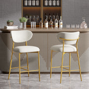 Hwawsaiy Counter Height Bar Stools Set of 2, Velvet Ergonomic Modern Counter Stool with Back, 25.9 inch Seat Height Comfy Bar Chairs with Powder Sprayed Golden Metal Legs, Grey