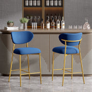 Hwawsaiy Counter Height Bar Stools Set of 2, Velvet Ergonomic Modern Counter Stool with Back, 25.9 inch Seat Height Comfy Bar Chairs with Powder Sprayed Golden Metal Legs, Grey