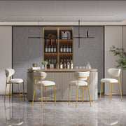 Hwawsaiy Counter Height Bar Stools Set of 2, Velvet Ergonomic Modern Counter Stool with Back, 25.9 inch Seat Height Comfy Bar Chairs with Powder Sprayed Golden Metal Legs, Grey