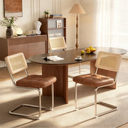 Hawsaiy Velvet Rattan Dining Chairs Set of 2/3/4/6/8, Upholstered Dining Room Chairs with Cane Back, Mid Century Modern Cantilever Kitchen Chairs, Chrome Frame Armless Side Chairs