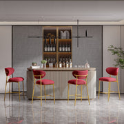 Hwawsaiy Counter Height Bar Stools Set of 2, Velvet Ergonomic Modern Counter Stool with Back, 25.9 inch Seat Height Comfy Bar Chairs with Powder Sprayed Golden Metal Legs, Grey