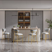 Hwawsaiy Counter Height Bar Stools Set of 2, Velvet Ergonomic Modern Counter Stool with Back, 25.9 inch Seat Height Comfy Bar Chairs with Powder Sprayed Golden Metal Legs, Grey