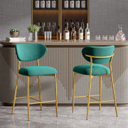 Hwawsaiy Counter Height Bar Stools Set of 2, Velvet Ergonomic Modern Counter Stool with Back, 25.9 inch Seat Height Comfy Bar Chairs with Powder Sprayed Golden Metal Legs, Grey