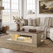 Hawsaiy Farmhouse Coffee Table with Storage Shelf & LED Light, 47