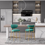 Hwawsaiy Counter Height Bar Stools Set of 2, Velvet Ergonomic Modern Counter Stool with Back, 25.9 inch Seat Height Comfy Bar Chairs with Powder Sprayed Golden Metal Legs, Grey