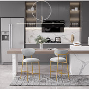 Hwawsaiy Counter Height Bar Stools Set of 2, Velvet Ergonomic Modern Counter Stool with Back, 25.9 inch Seat Height Comfy Bar Chairs with Powder Sprayed Golden Metal Legs, Grey