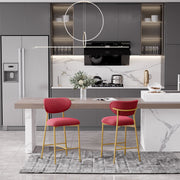 Hwawsaiy Counter Height Bar Stools Set of 2, Velvet Ergonomic Modern Counter Stool with Back, 25.9 inch Seat Height Comfy Bar Chairs with Powder Sprayed Golden Metal Legs, Grey