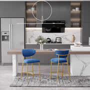 Hwawsaiy Counter Height Bar Stools Set of 2, Velvet Ergonomic Modern Counter Stool with Back, 25.9 inch Seat Height Comfy Bar Chairs with Powder Sprayed Golden Metal Legs, Grey