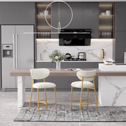 Hwawsaiy Counter Height Bar Stools Set of 2, Velvet Ergonomic Modern Counter Stool with Back, 25.9 inch Seat Height Comfy Bar Chairs with Powder Sprayed Golden Metal Legs, Grey