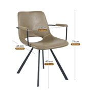 Hawsaiy Modern Dining Chiars Set of 2 with Arm and Metal Legs