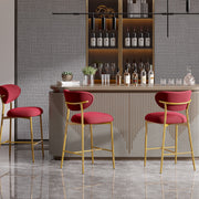 Hwawsaiy Counter Height Bar Stools Set of 2, Velvet Ergonomic Modern Counter Stool with Back, 25.9 inch Seat Height Comfy Bar Chairs with Powder Sprayed Golden Metal Legs, Grey