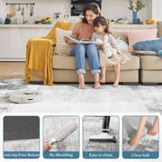 Hawsaiy Modern Area Rug  Persian Patterned Washable for Living Room