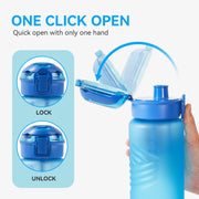 Hawsaiy 32oz BPA Free Plastic Water Bottle with Tea Filter