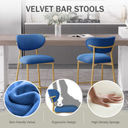 Hwawsaiy Counter Height Bar Stools Set of 2, Velvet Ergonomic Modern Counter Stool with Back, 25.9 inch Seat Height Comfy Bar Chairs with Powder Sprayed Golden Metal Legs, Grey