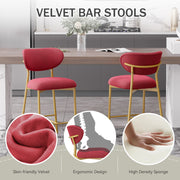 Hwawsaiy Counter Height Bar Stools Set of 2, Velvet Ergonomic Modern Counter Stool with Back, 25.9 inch Seat Height Comfy Bar Chairs with Powder Sprayed Golden Metal Legs, Grey