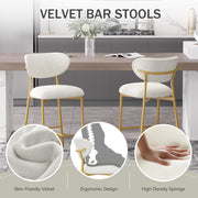Hwawsaiy Counter Height Bar Stools Set of 2, Velvet Ergonomic Modern Counter Stool with Back, 25.9 inch Seat Height Comfy Bar Chairs with Powder Sprayed Golden Metal Legs, Grey