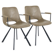 Hawsaiy Modern Dining Chiars Set of 2 with Arm and Metal Legs